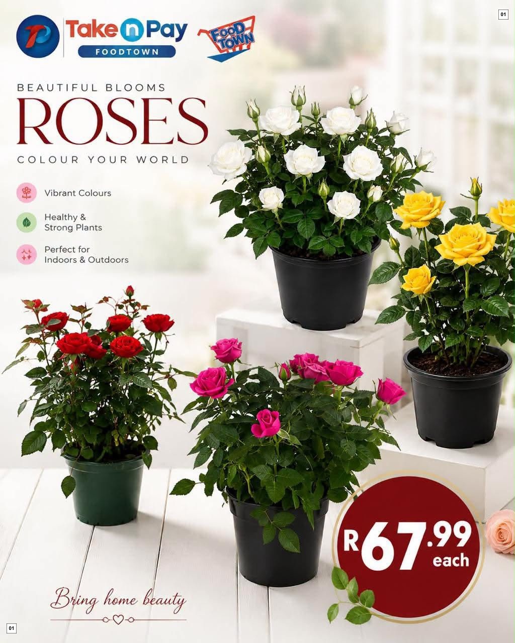 Take N Pay Catalogue