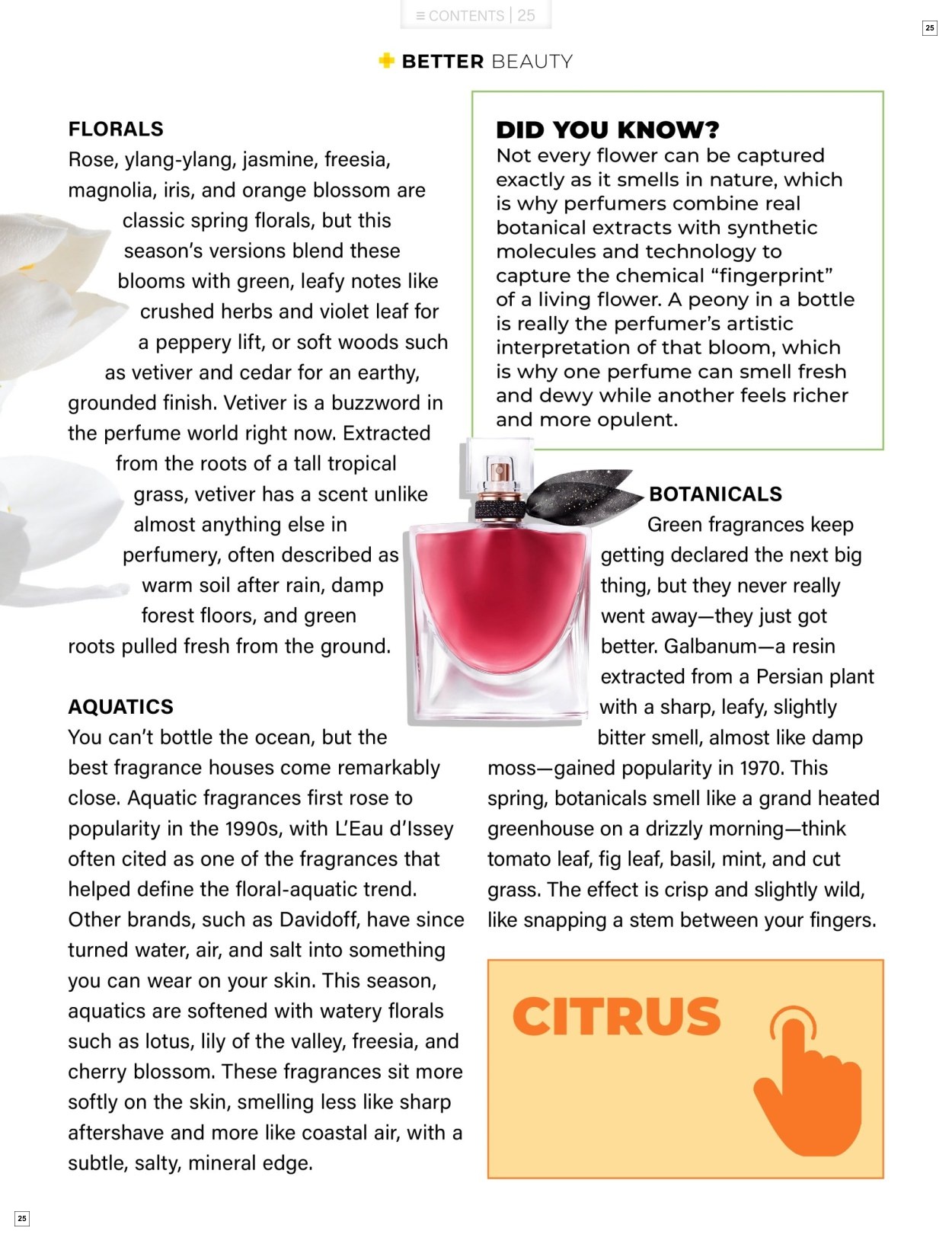Dis-Chem Spring Savings - Page 25