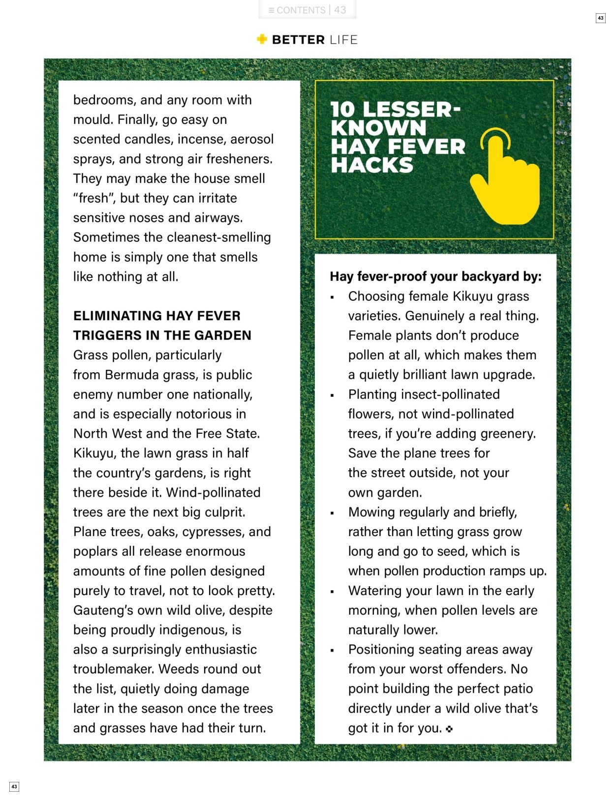 Dis-Chem Spring Savings - Page 43