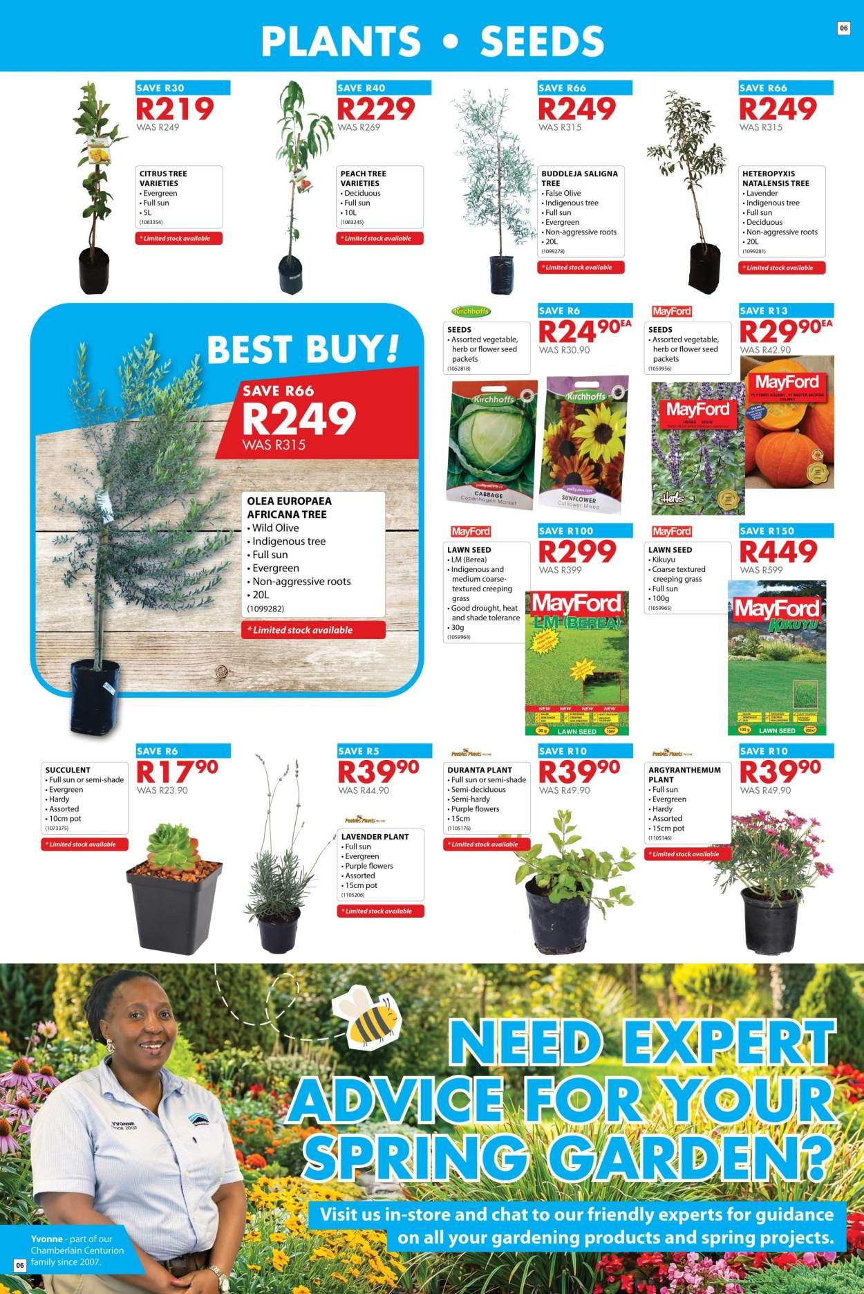 Chamberlain Specials 13 Aug - 13 Sept - Page 6