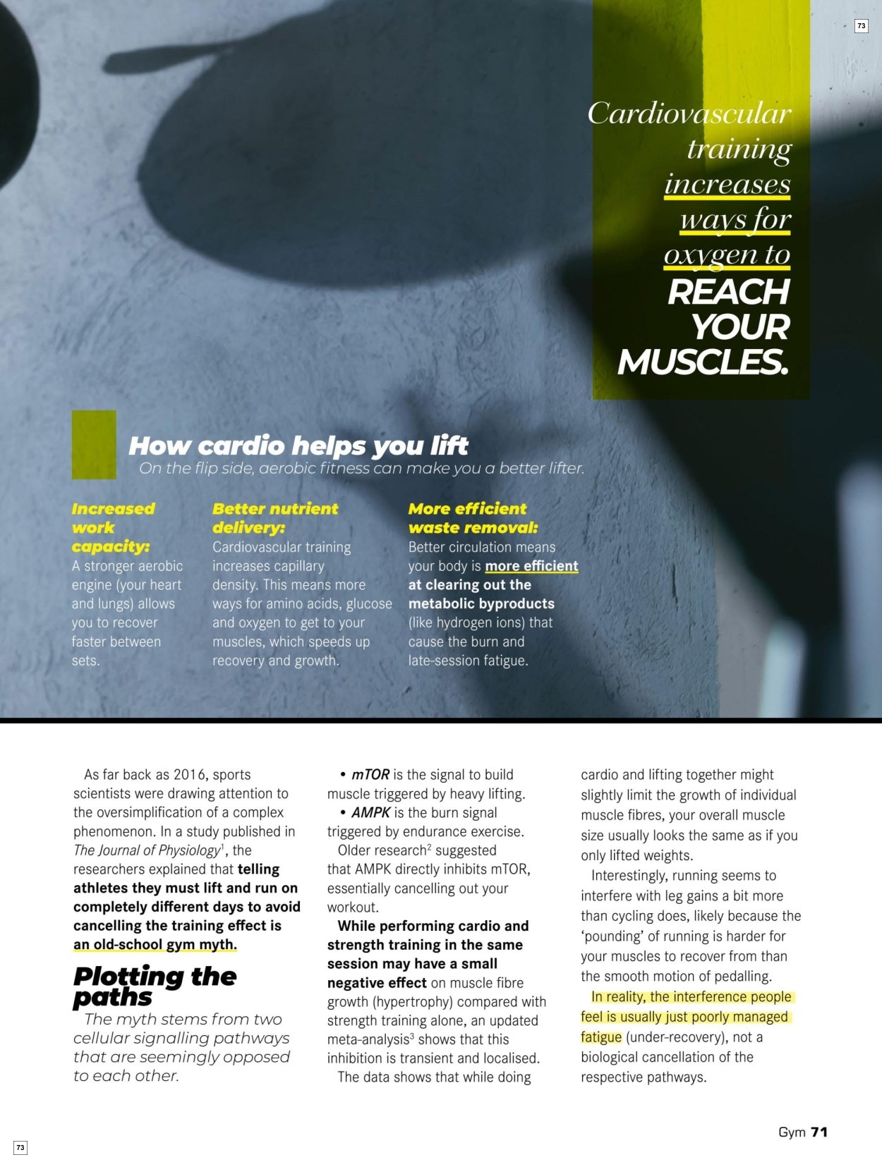 Dis-Chem Spring Savings - Page 73