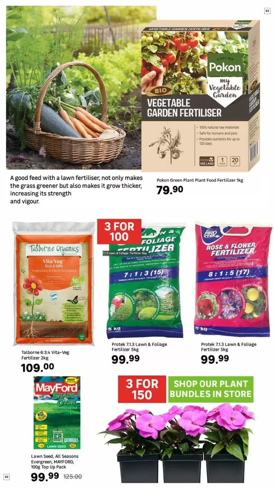 Leroy Merlin Specials 01 Aug - 31 Oct - Page 3