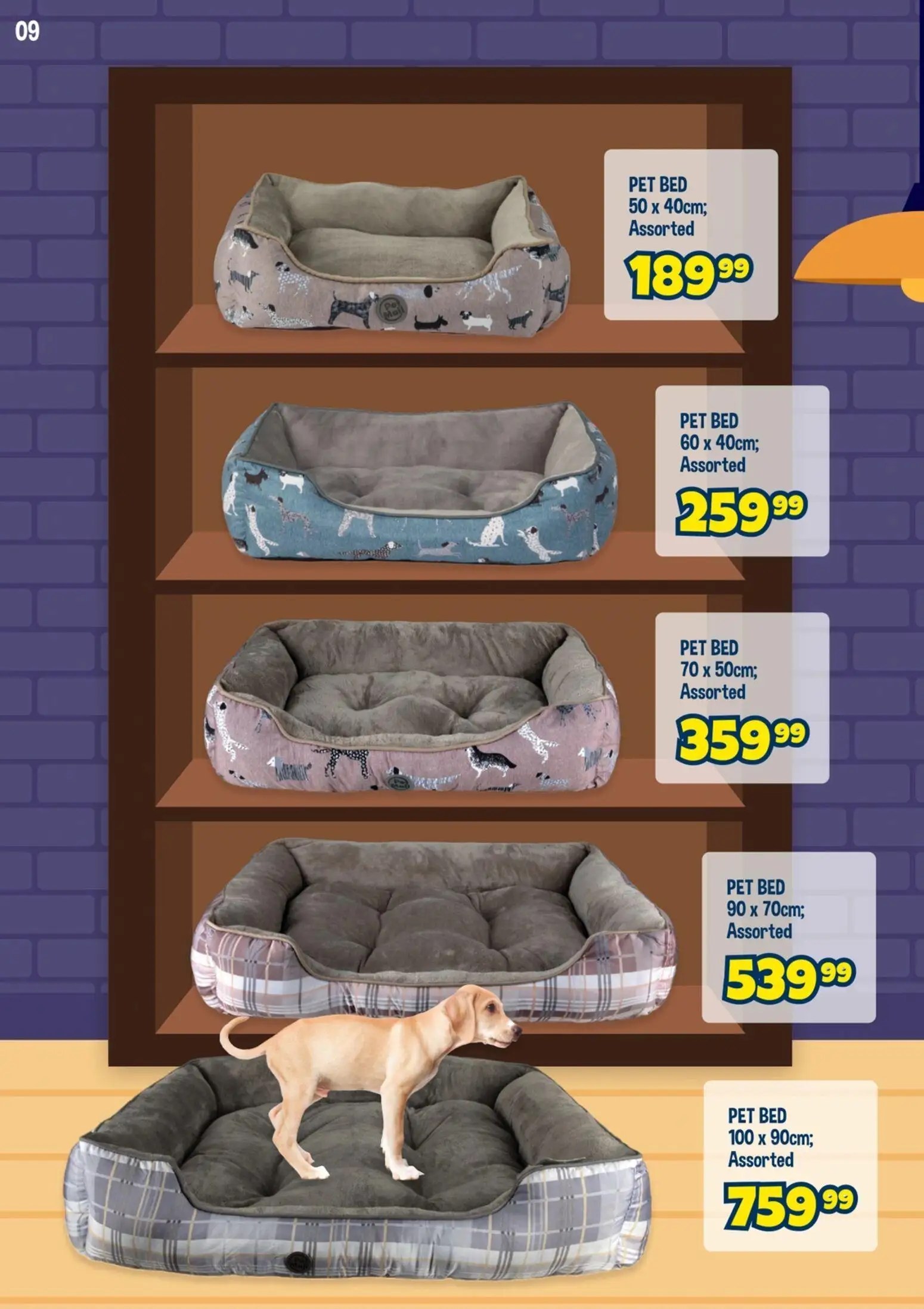 Crazy Store Pet Specials - Page 10