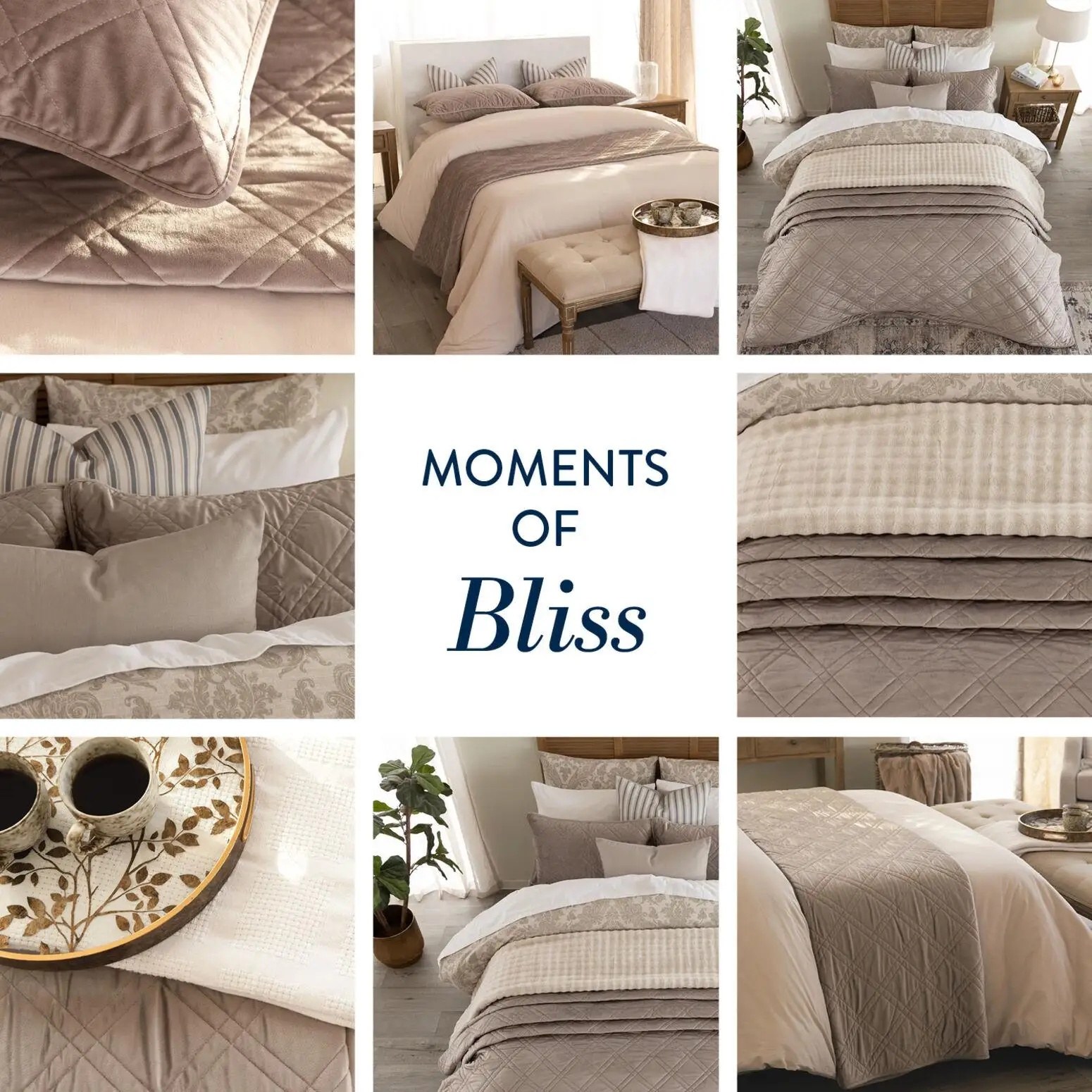 Volpes Moments Of Bliss