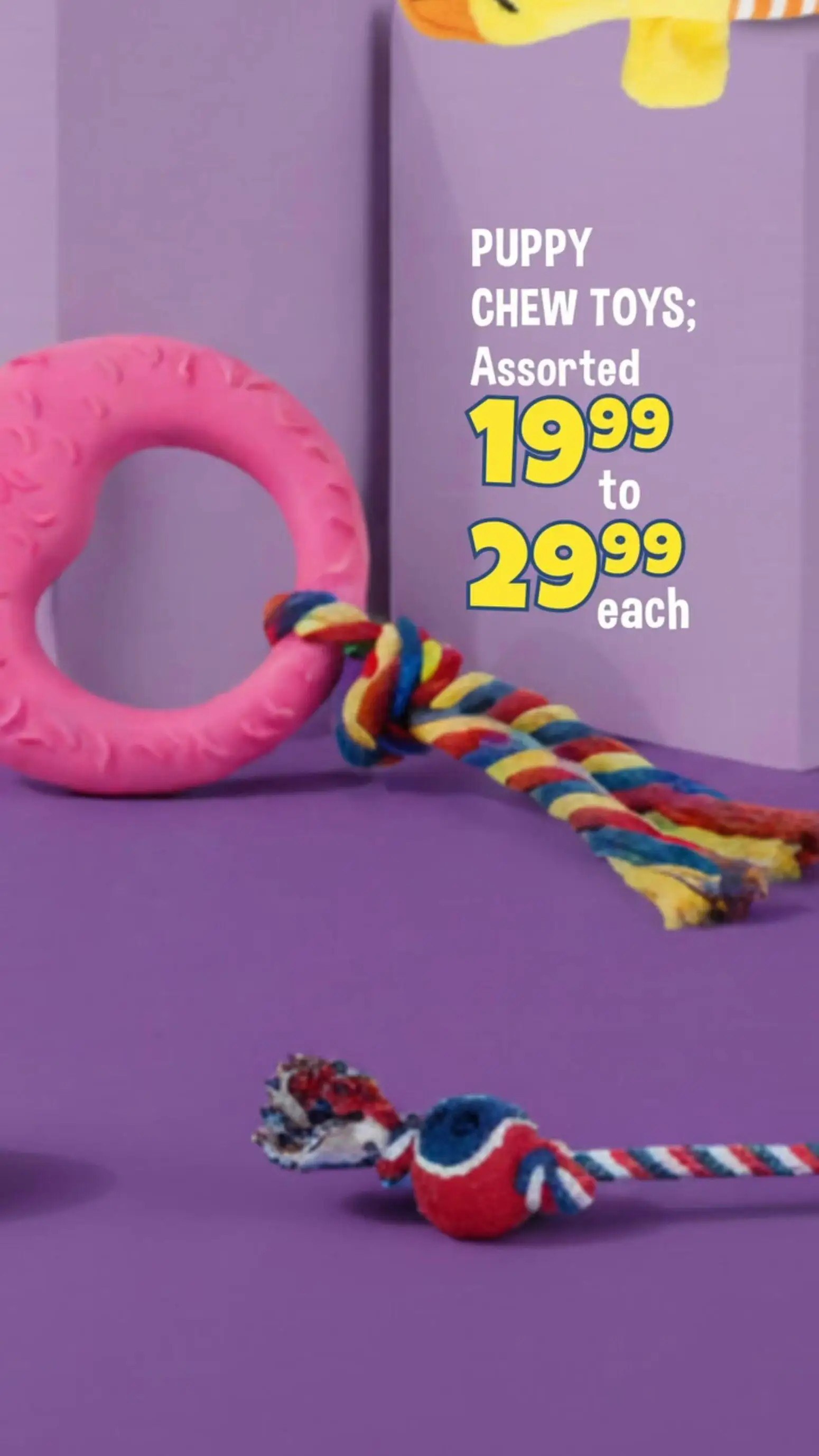 Crazy Store Pet Toys Specials - Page 5