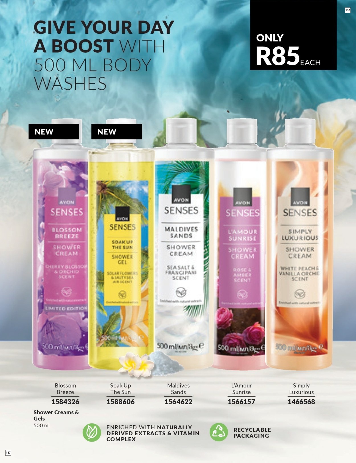 Avon C6 Core Brochure - Page 137