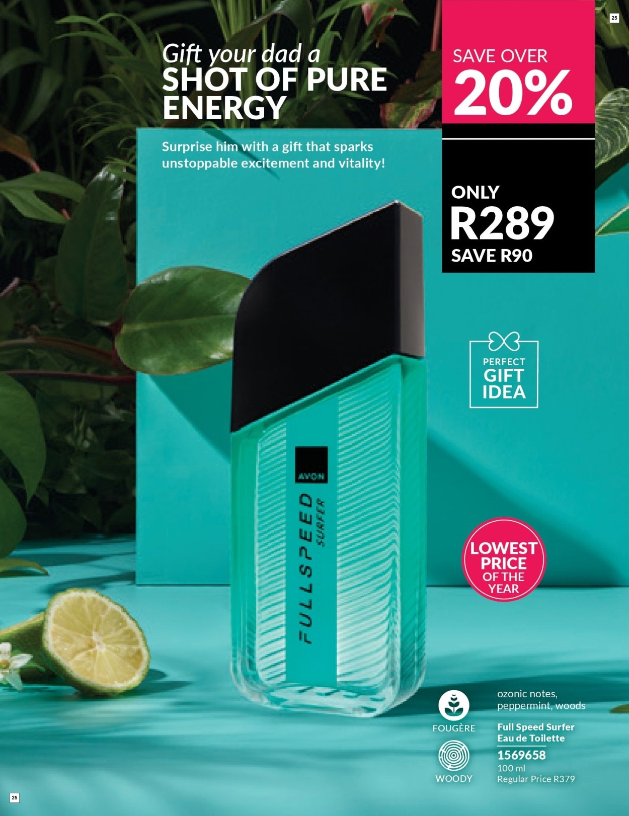 Avon C6 Core Brochure - Page 25