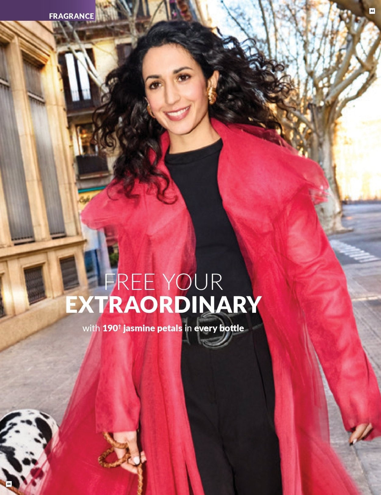 Avon C6 Core Brochure - Page 44