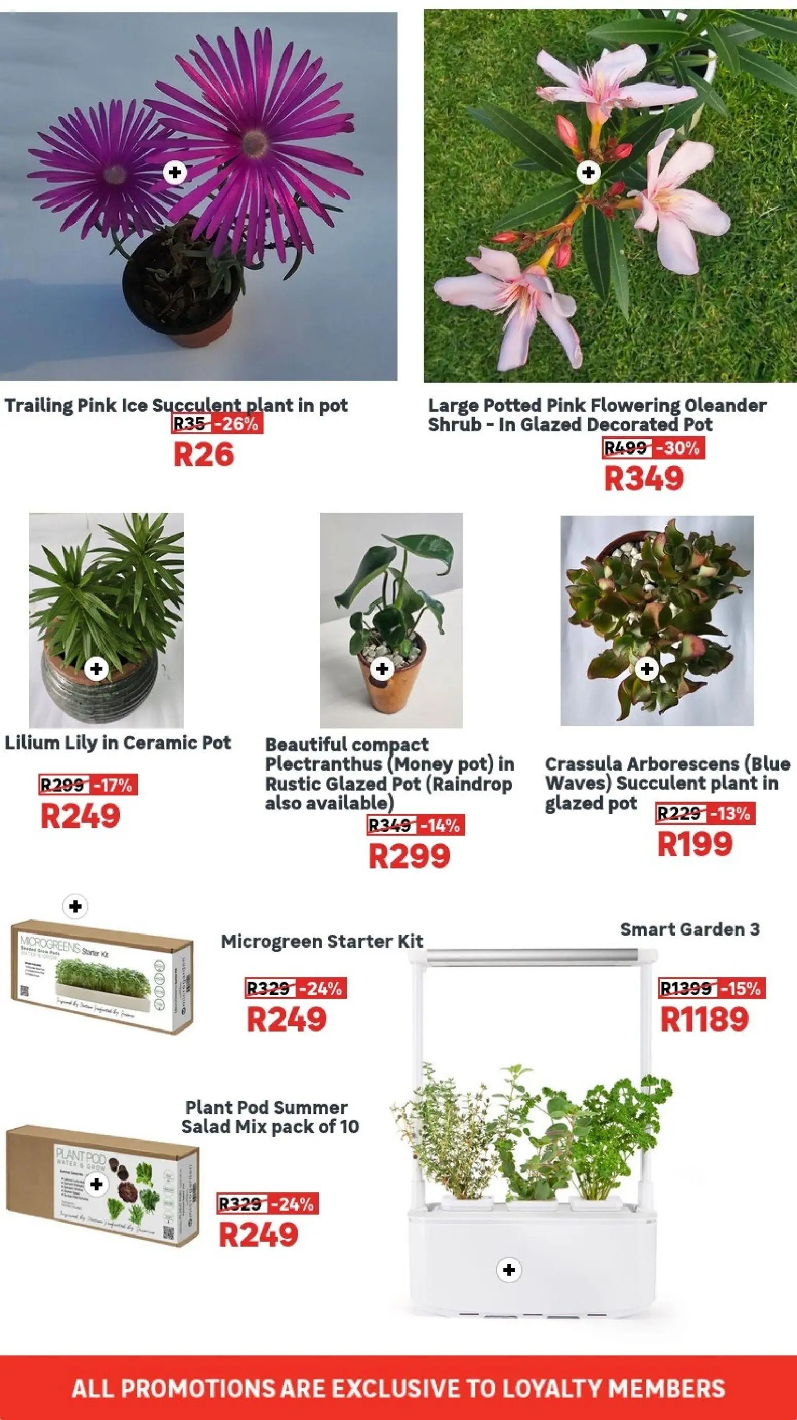 Leroy Merlin Garden Specials - Page 3