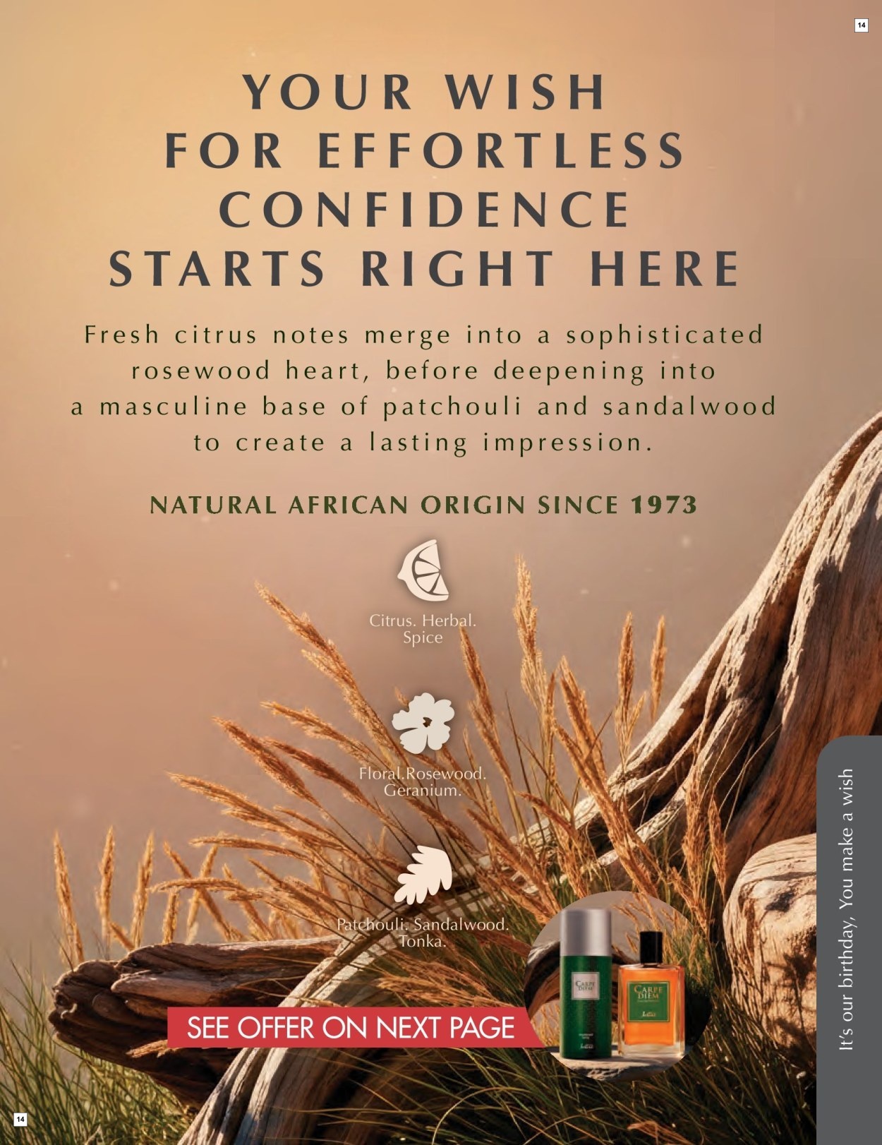 Justine Fortigrain Exclusive Offer - Page 14