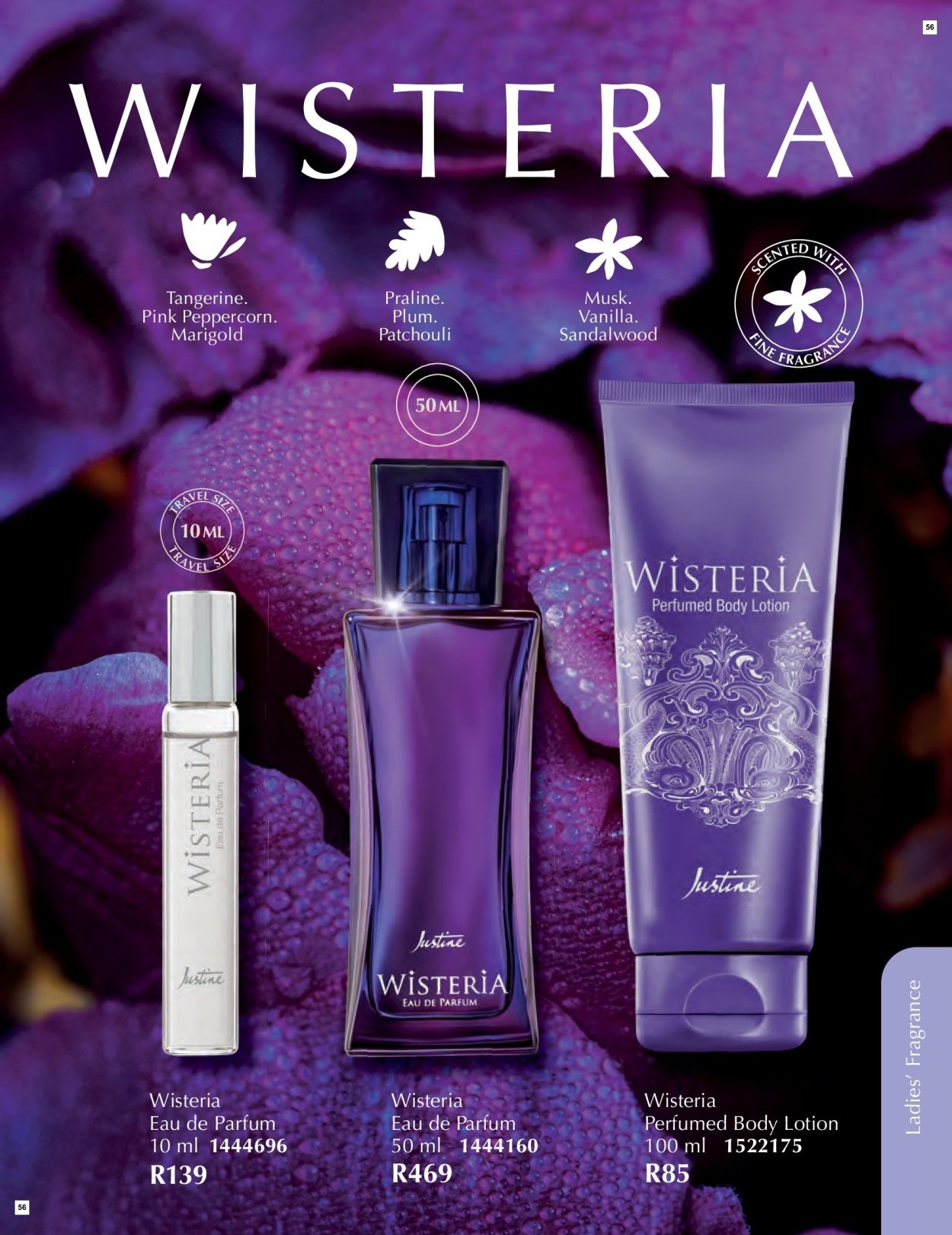Justine Fortigrain Exclusive Offer - Page 56