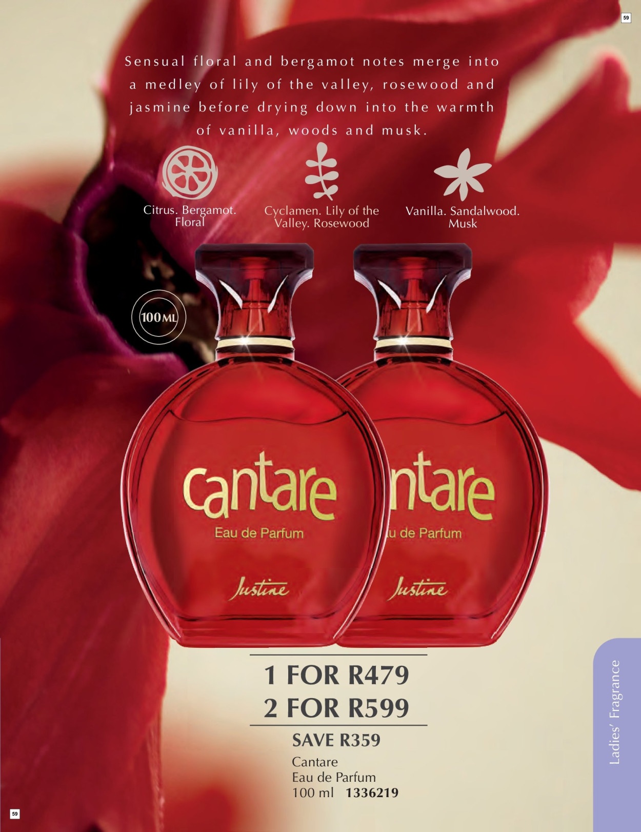 Justine Fortigrain Exclusive Offer - Page 59